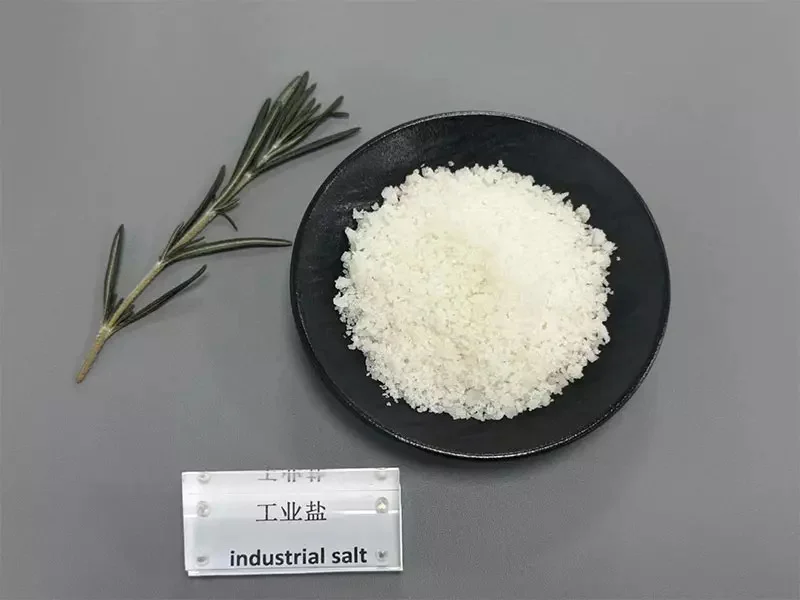 Industrial Salt Shipping Packaging2