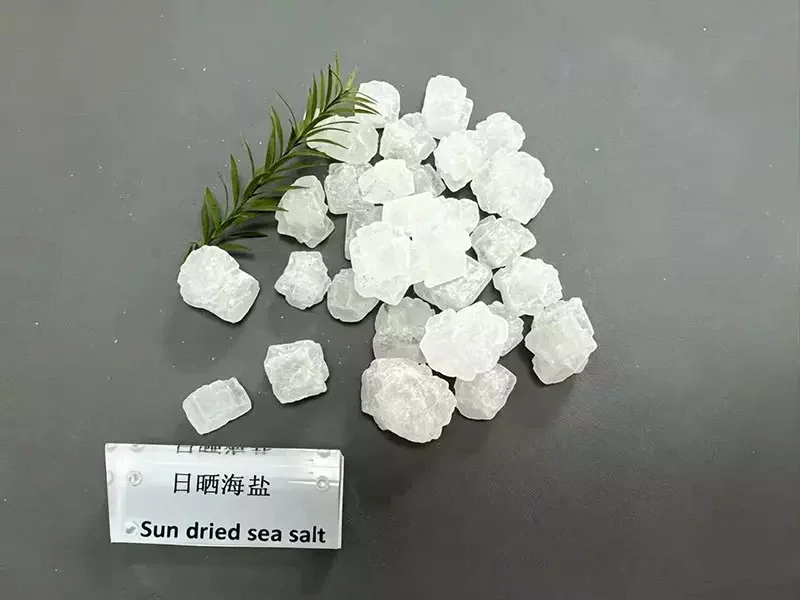 Industrial Salt Shipping Packaging4